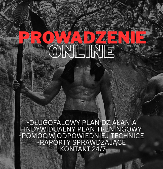 Prowadzenie Online